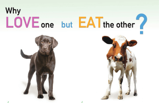 online veg ad OP