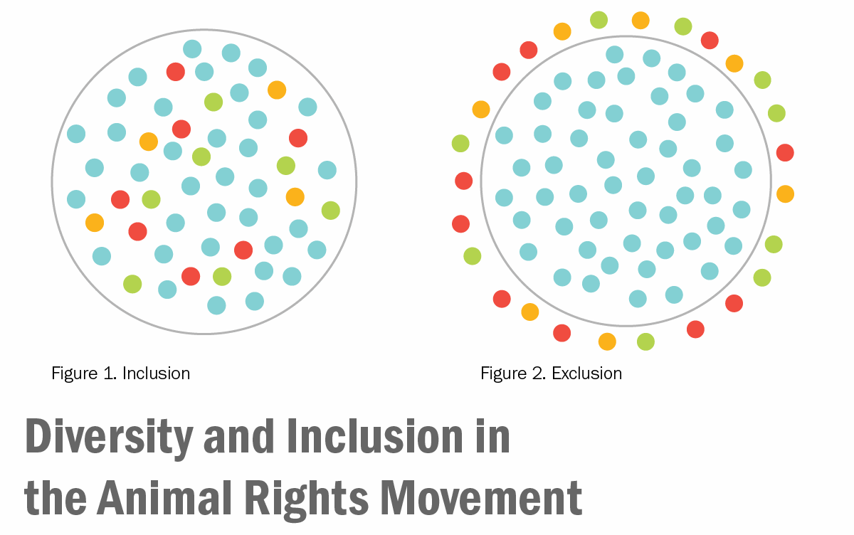 Diversity and Inclusion in the Animal Rights Movement | Animal Charity