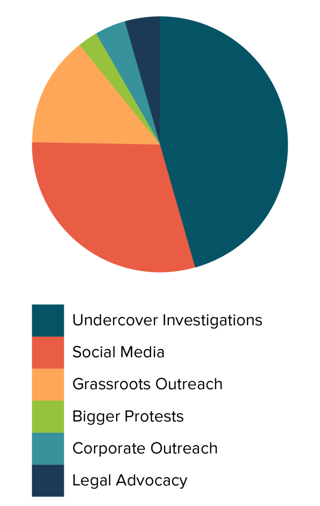 AE Pie Chart