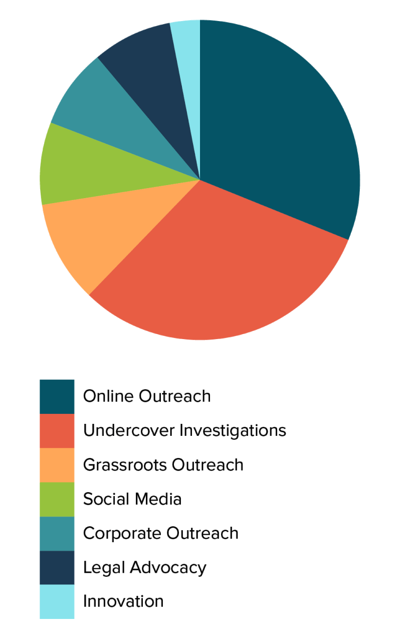 MFA Pie Chart