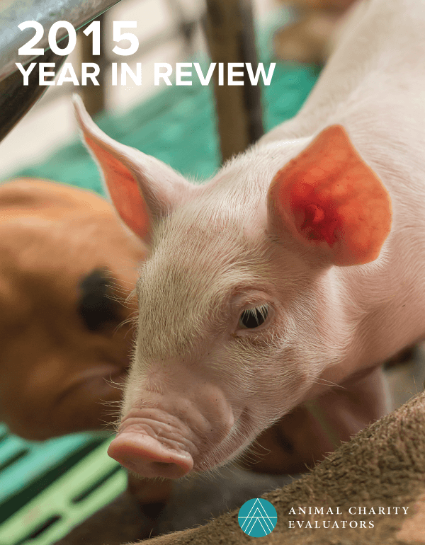 2015 Year In Review